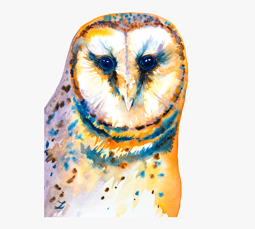 Screech Owl, HD Png Download, Free Download