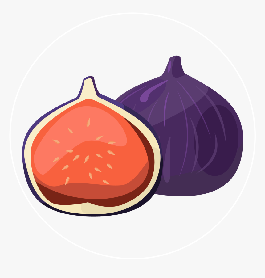 Fig-icon - Red Onion, HD Png Download, Free Download