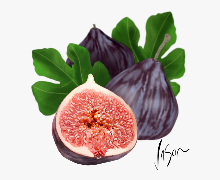 Adam Fig , Png Download - Babylon Fruit, Transparent Png, Free Download