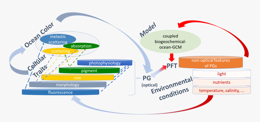 Diagram, HD Png Download, Free Download