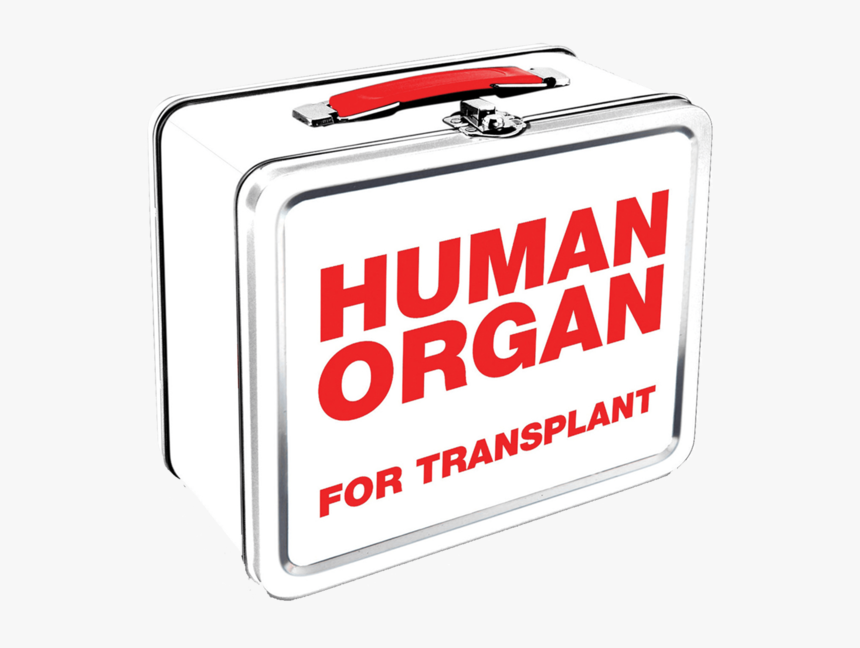 Organ Transplant Lunch Box - Organ, HD Png Download, Free Download