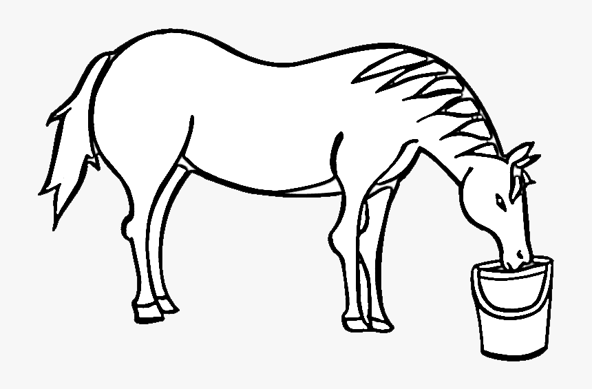 Dog Drinking Water Clipart Black And White Png Royalty - Horse Drinking Water Clipart, Transparent Png, Free Download