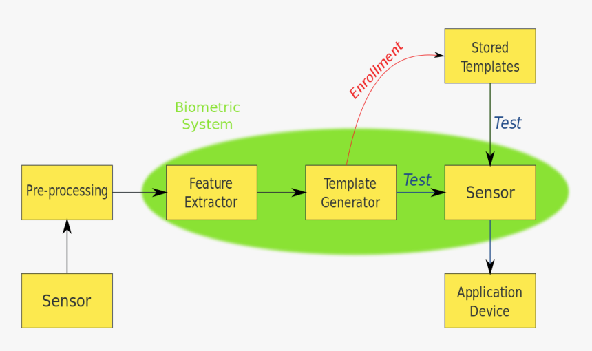 Diagram Of Biometric System, HD Png Download, Free Download