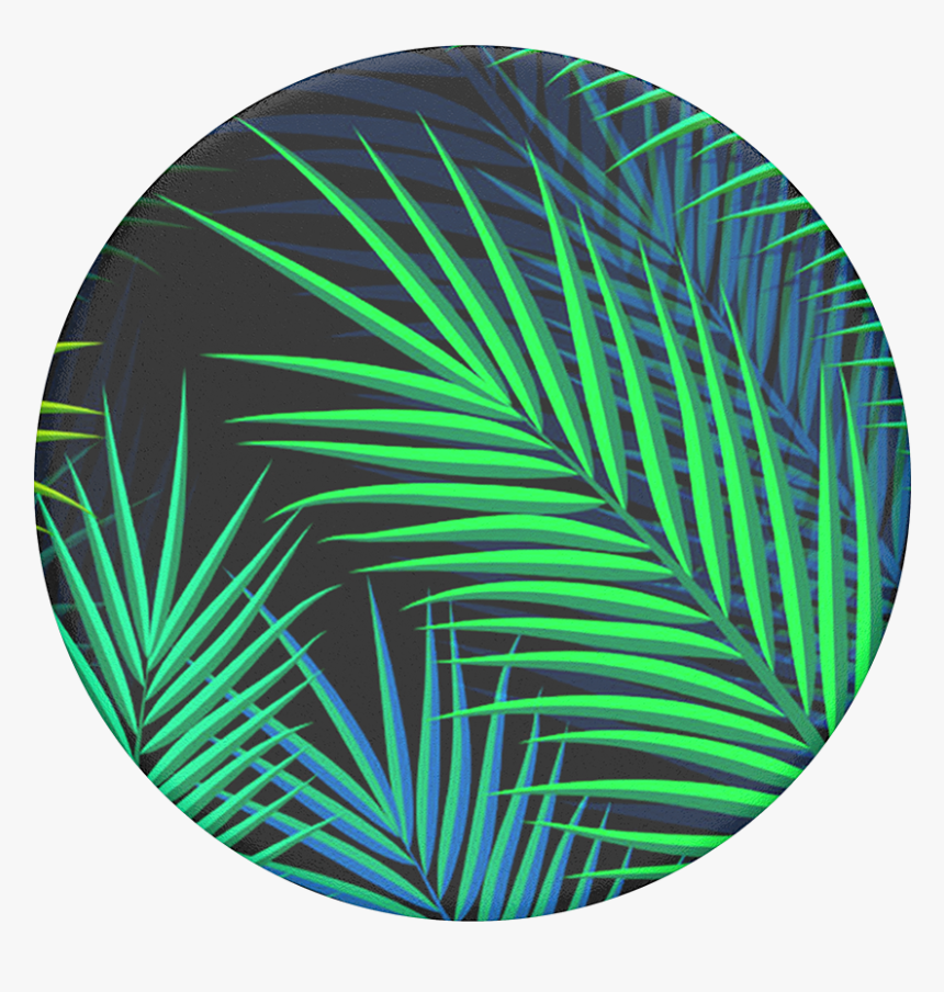 Popsockets Midnight Palms , Png Download - Popsocket Palms, Transparent Png, Free Download