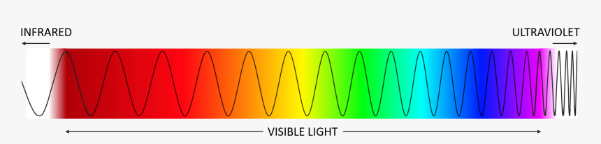 Light Spectrum Labeled - Plot, HD Png Download, Free Download