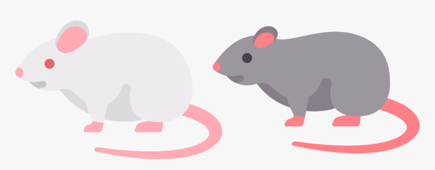 Mouse, HD Png Download, Free Download