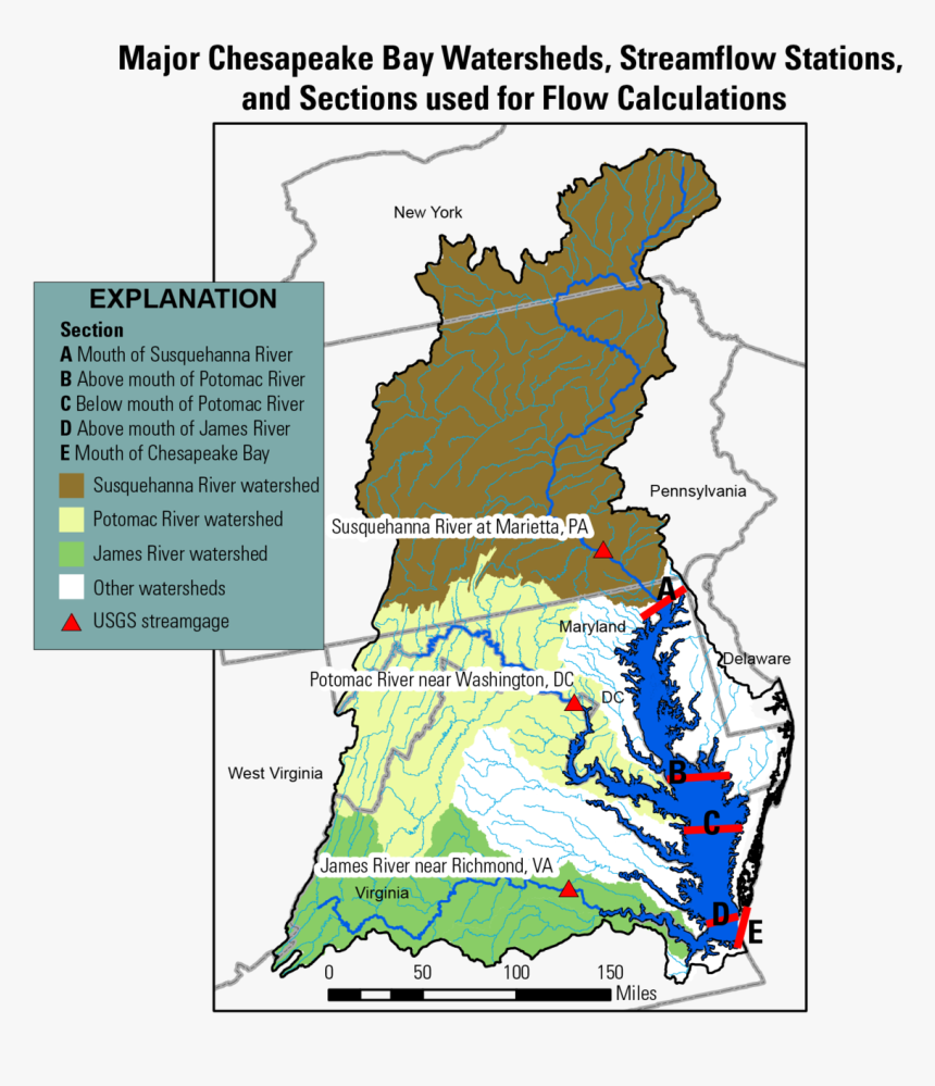 Map Of Major Chesapeake Bay Watersheds And Streamflow - Water Flow Chesapeake Bay, HD Png Download, Free Download