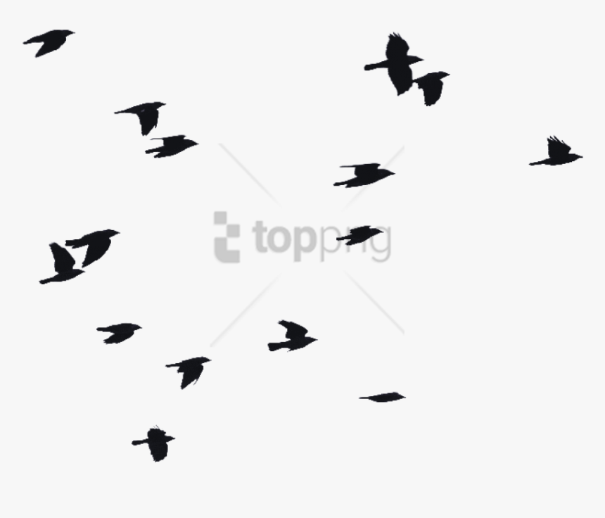 Free Png Birds Flying Silhouette Png Image With Transparent - Silhouette Birds In The Sky, Png Download, Free Download