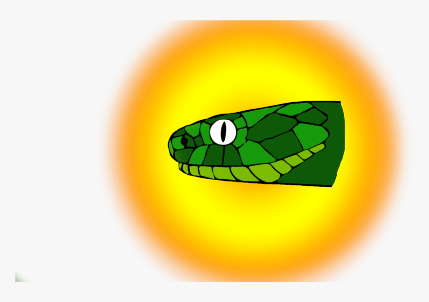 Western Green Mamba , Png Download - Smooth Greensnake, Transparent Png, Free Download