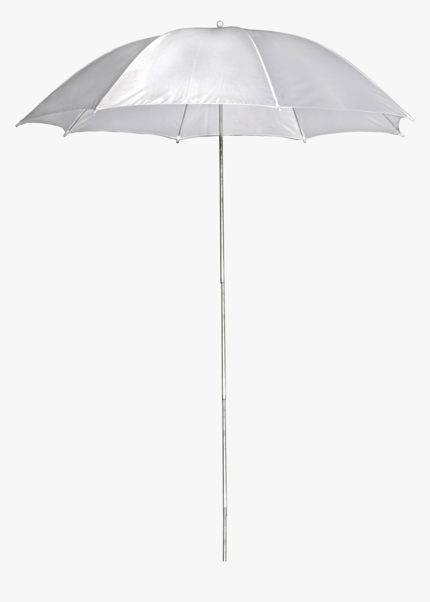 Umbrella Png, Transparent Png, Free Download