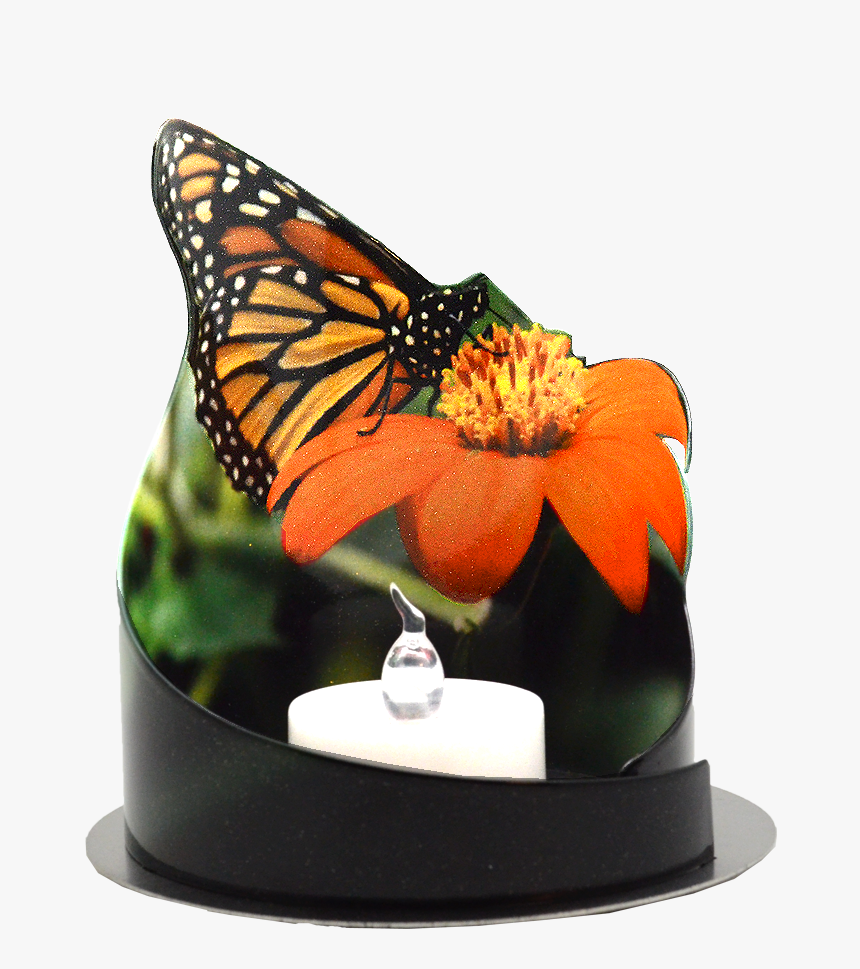 Monarch Butterfly, HD Png Download, Free Download