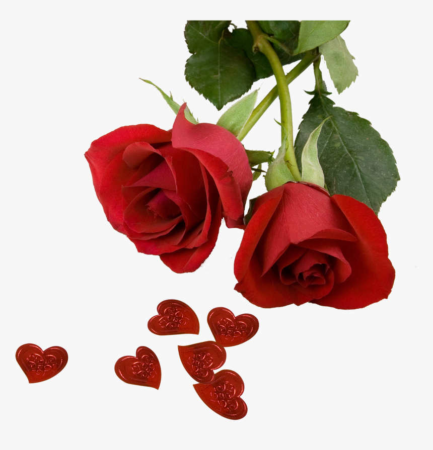Rose Screensavers Wallpaper - Red Rose Wedding, HD Png Download, Free Download