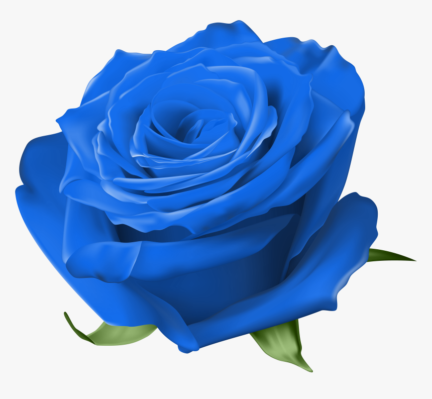 Free Yellow Rose Images Png, Transparent Png, Free Download