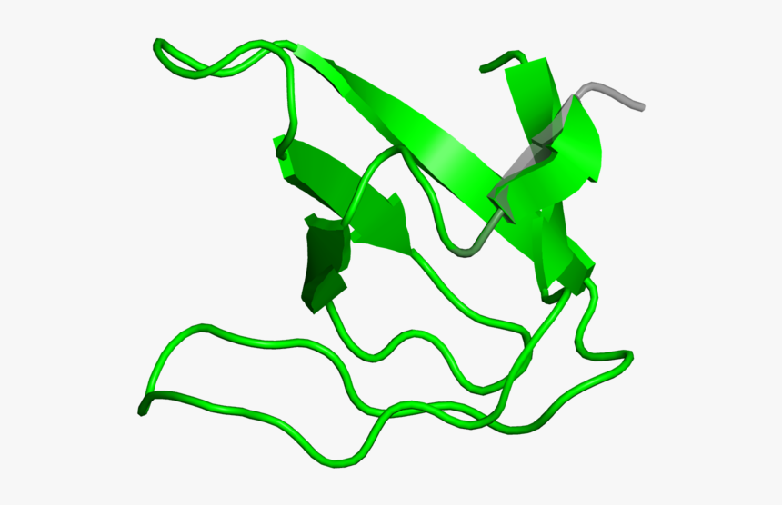 Illustration, HD Png Download, Free Download