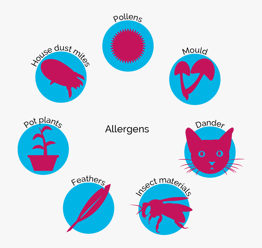 Meetings Imagined Meeting Purpose, HD Png Download, Free Download