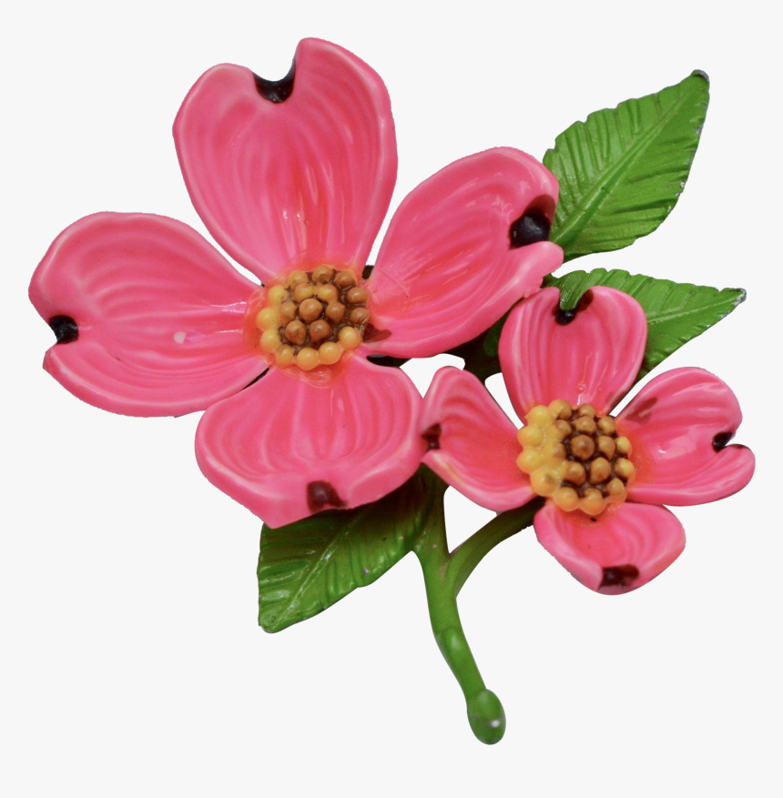 Pink Dogwood Flower Transparent, HD Png Download, Free Download