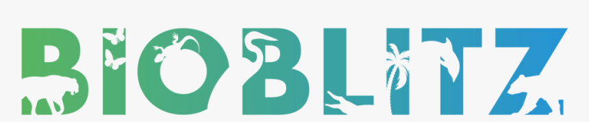 Bioblitz Logo 2018-03 - Graphic Design, HD Png Download, Free Download