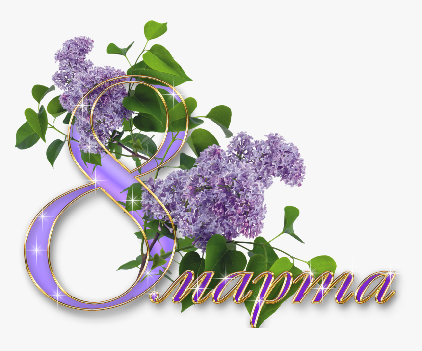 Lilac Bouquet, Iu-76 - Праздником 8 Марта Сирень, HD Png Download, Free Download