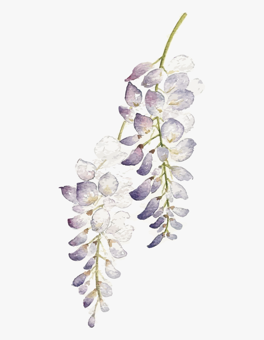 Purple Watercolor Flower Png, Transparent Png, Free Download