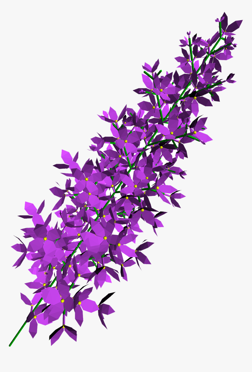 Lilac Png, Transparent Png, Free Download