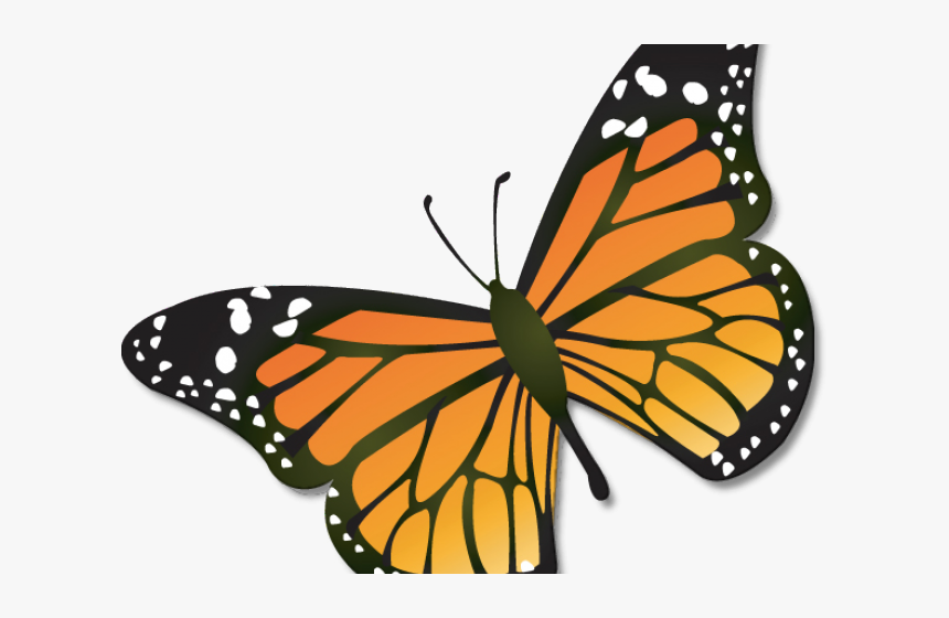 Monarch Butterfly Clipart Black And White, HD Png Download, Free Download