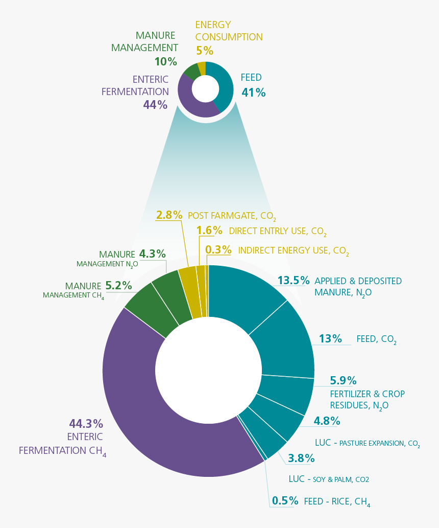 Livestock Emissions, HD Png Download, Free Download