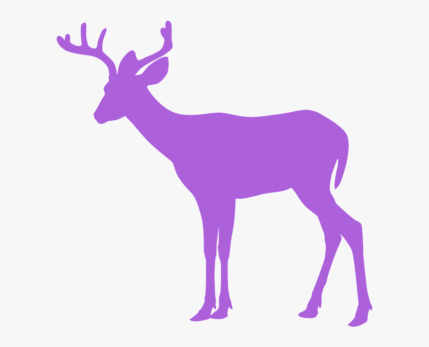 Deer Silhouette, HD Png Download, Free Download