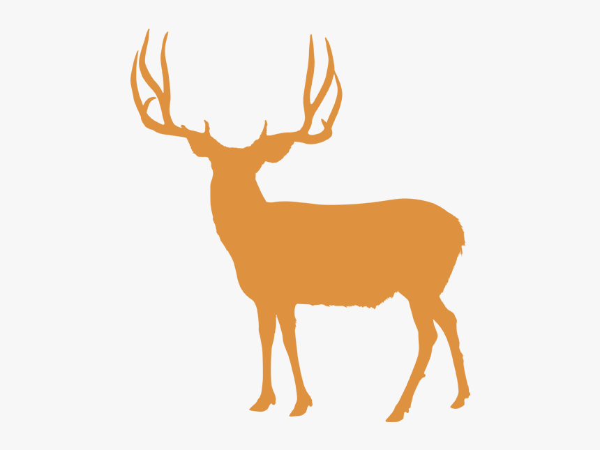 Hunts Antler Canyon Outfitters - Mule Deer Utah Hunting Units, HD Png Download, Free Download
