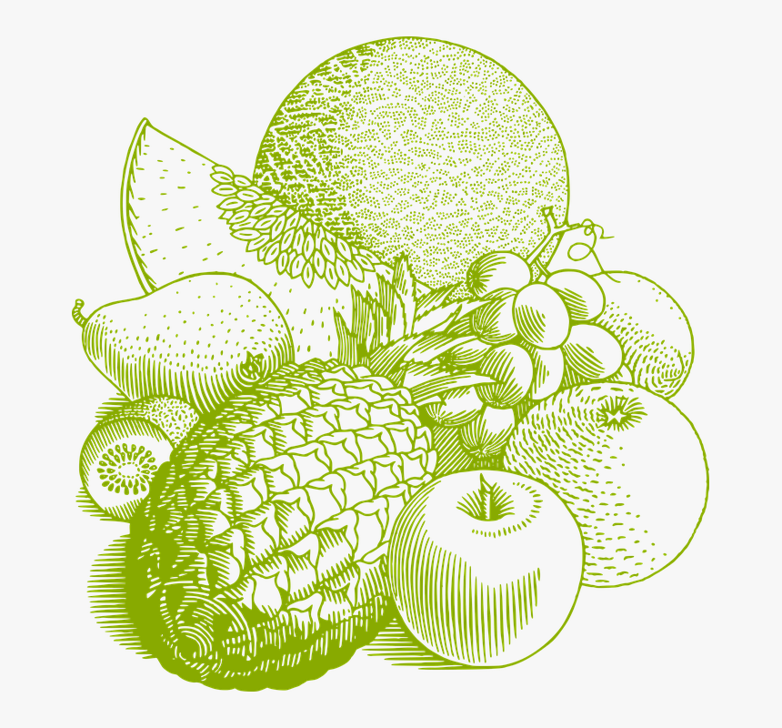 Fruits Drawing Png White, Transparent Png, Free Download