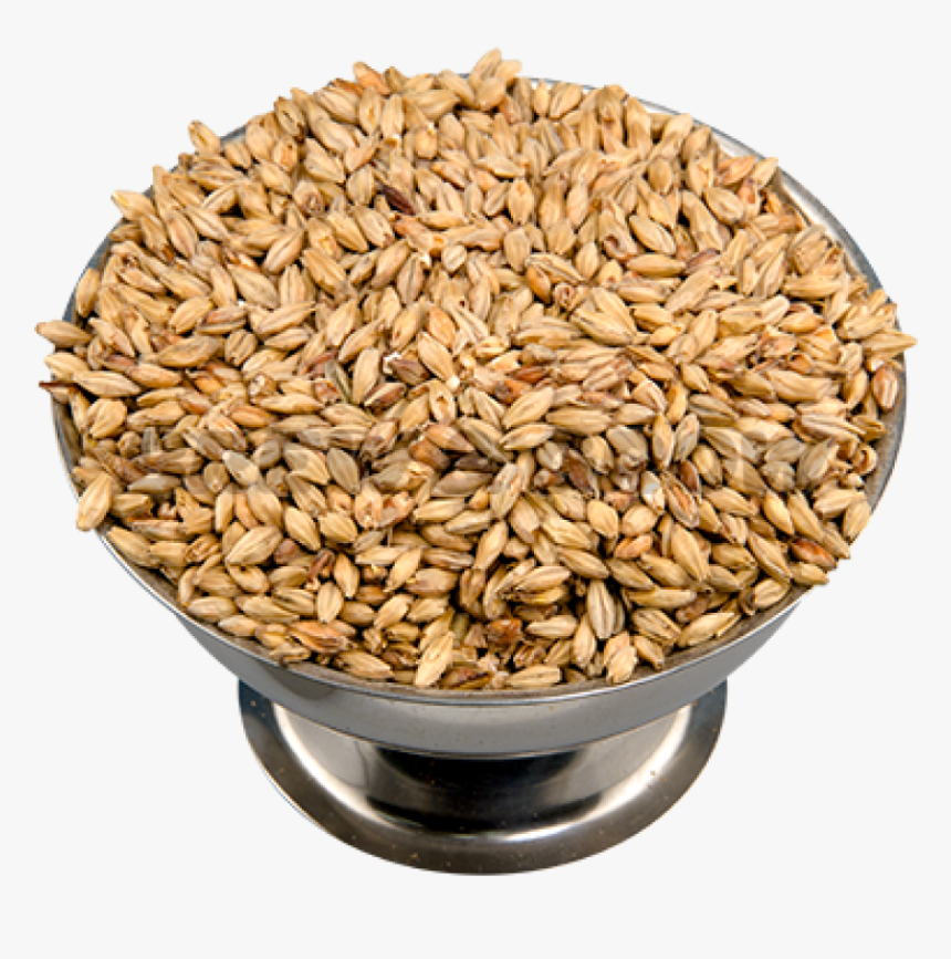 Dinkel Wheat, HD Png Download, Free Download