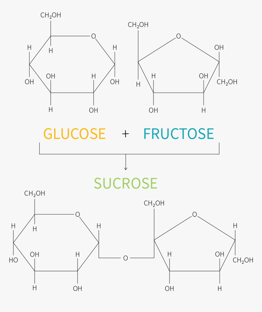 Diagram, HD Png Download, Free Download