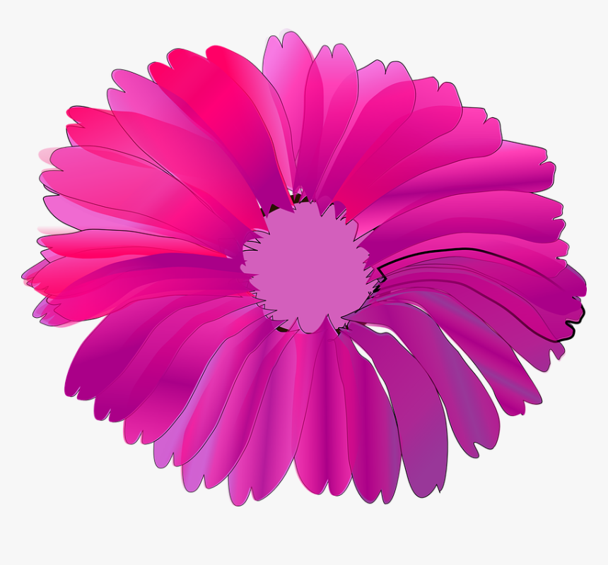 Pink And Fuchsia Flowers, HD Png Download, Free Download