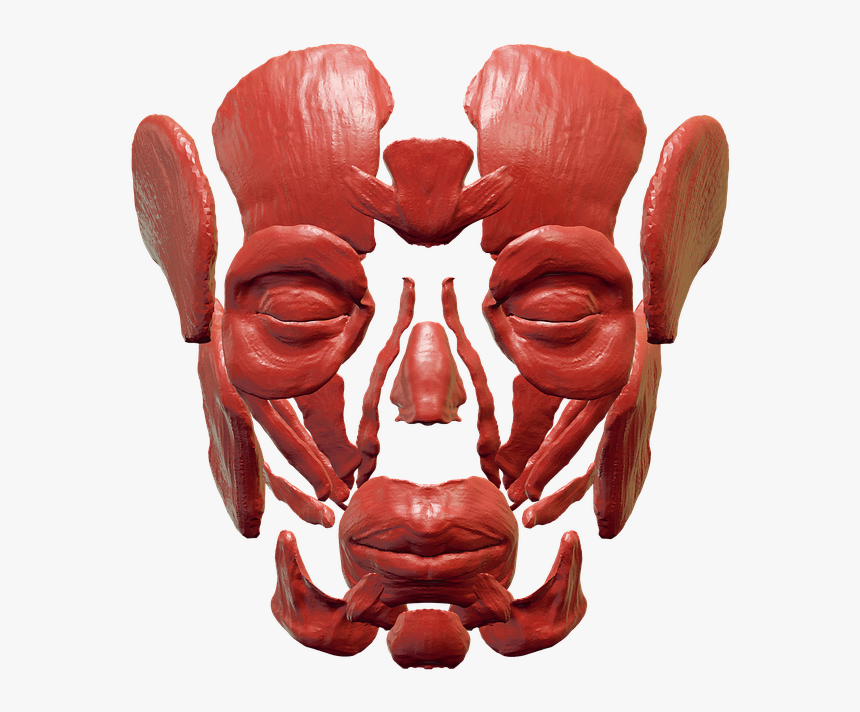 Transparent Skull And Crossbones Png Transparent Background - Fiddler Crab, Png Download, Free Download