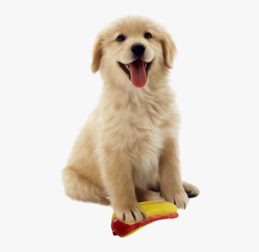 Dog Toys - Brandypickle - Com - Tapete Gelado Pet Cool Mat, HD Png Download, Free Download