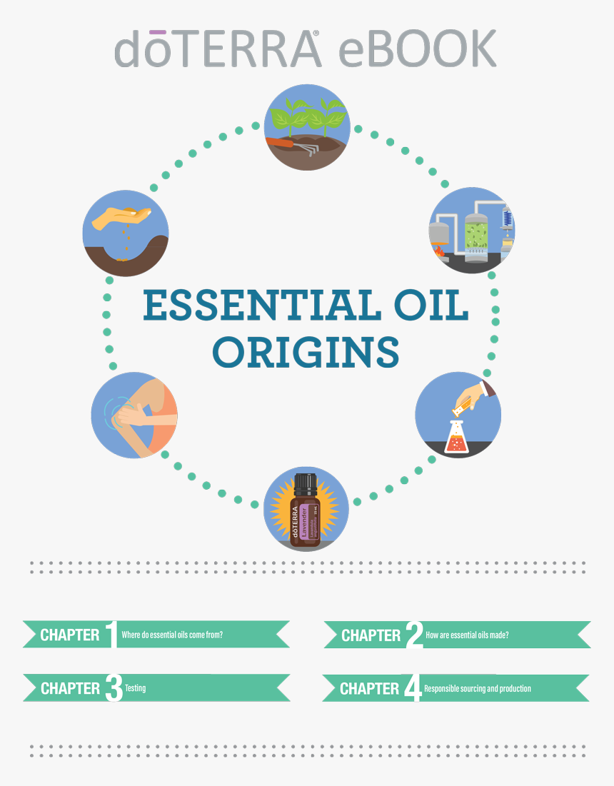 Doterra Essential Oils Origins - Doterra Essential Oils And Fitness, HD Png Download, Free Download