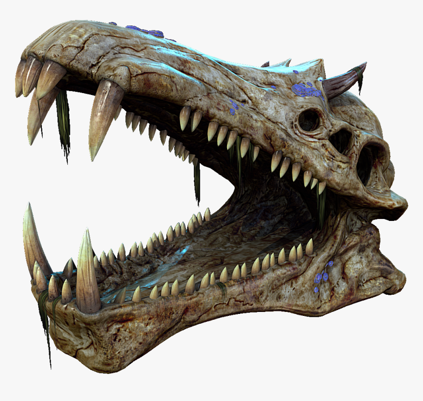 Gargantuan Leviathan Skull, HD Png Download, Free Download