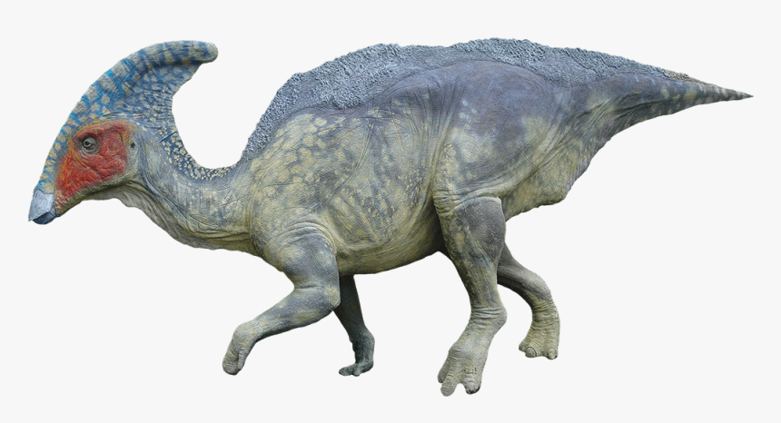 Duck Billed Dinosaur, HD Png Download, Free Download