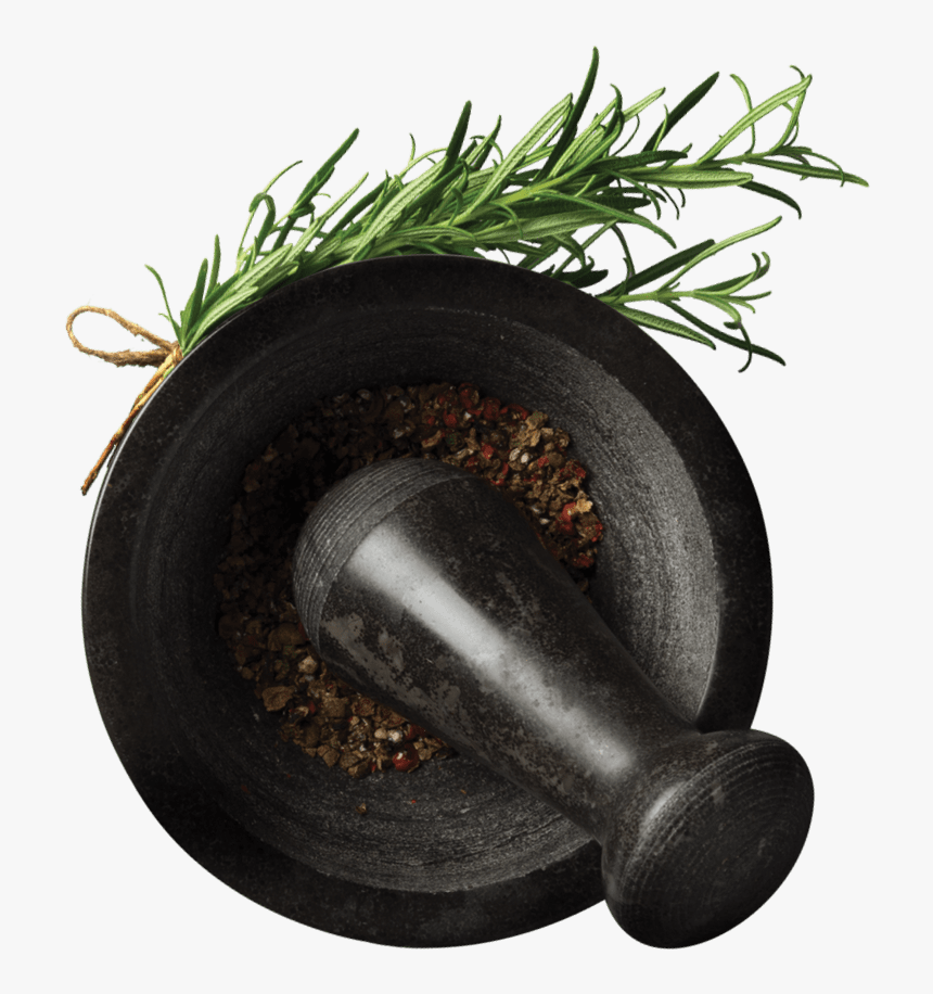 Mortar And Pestle With Herb Sprig - Houseplant, HD Png Download, Free Download