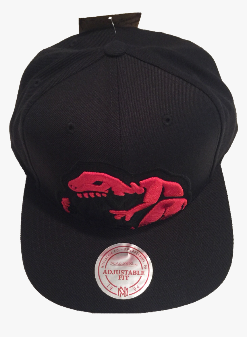 Toronto Raptors Logo Nba Basketball Mitchell & Ness - Baseball Cap, HD Png Download, Free Download