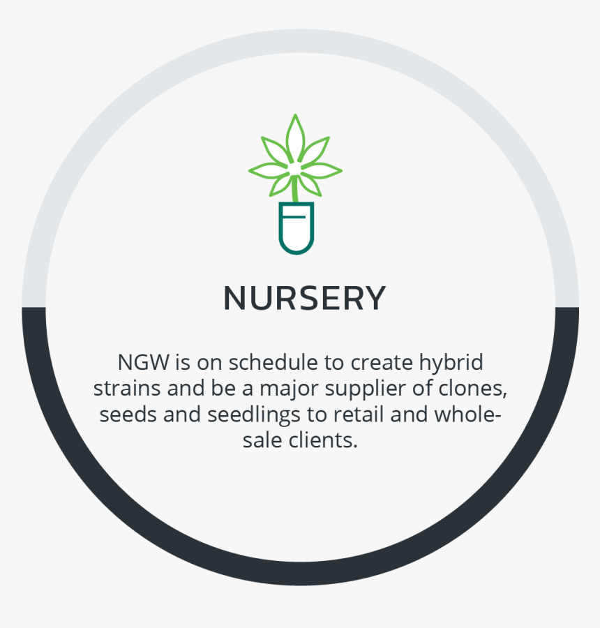 Circle, HD Png Download, Free Download