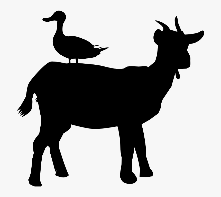 Couple Of Quacks - Goat Wirh Duck Cartoon, HD Png Download, Free Download