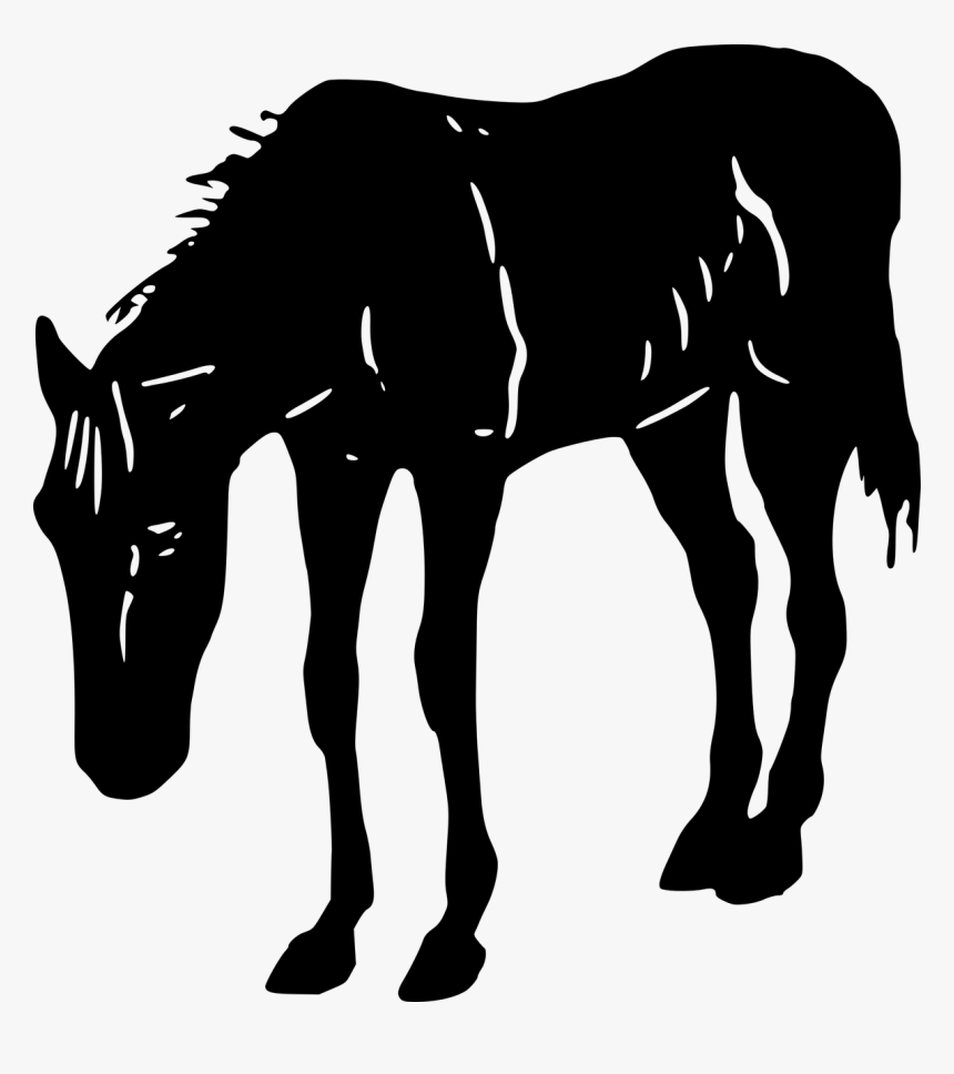 Horse, HD Png Download, Free Download