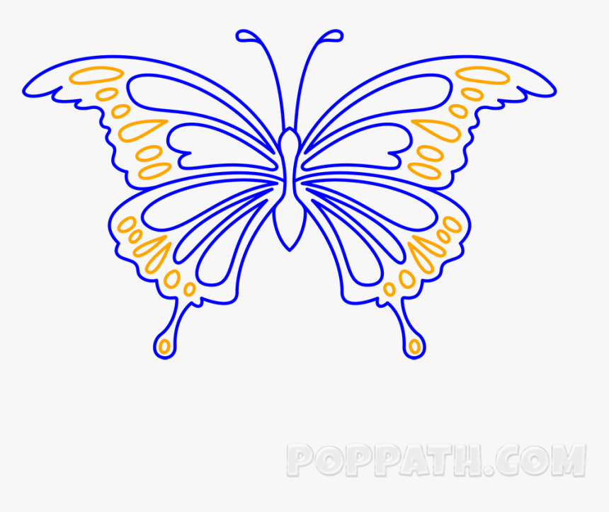 Papilio Machaon, HD Png Download, Free Download