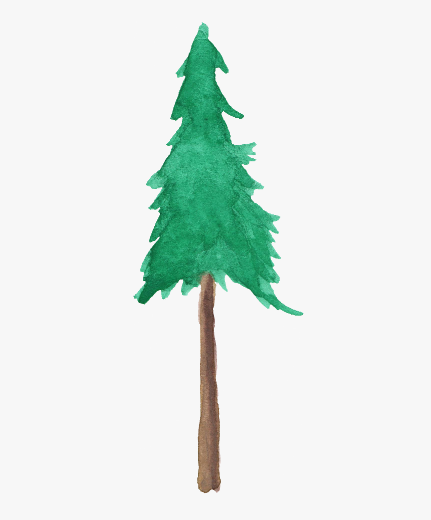 Png Watercolor Trees - Christmas Tree, Transparent Png, Free Download