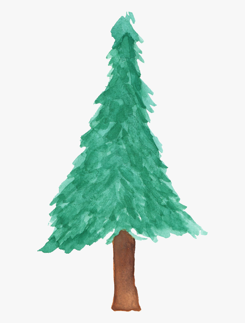 Pine Watercolor Png - Christmas Tree Png Watercolor, Transparent Png, Free Download