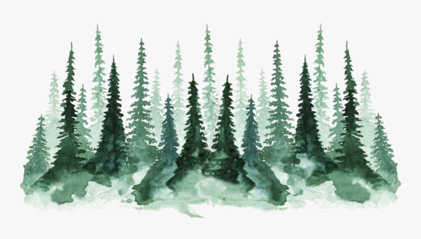 Transparent Water Color Trees, HD Png Download, Free Download