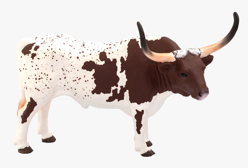 Texas Longhorn Png - Texas Longhorn Bull Png, Transparent Png, Free Download