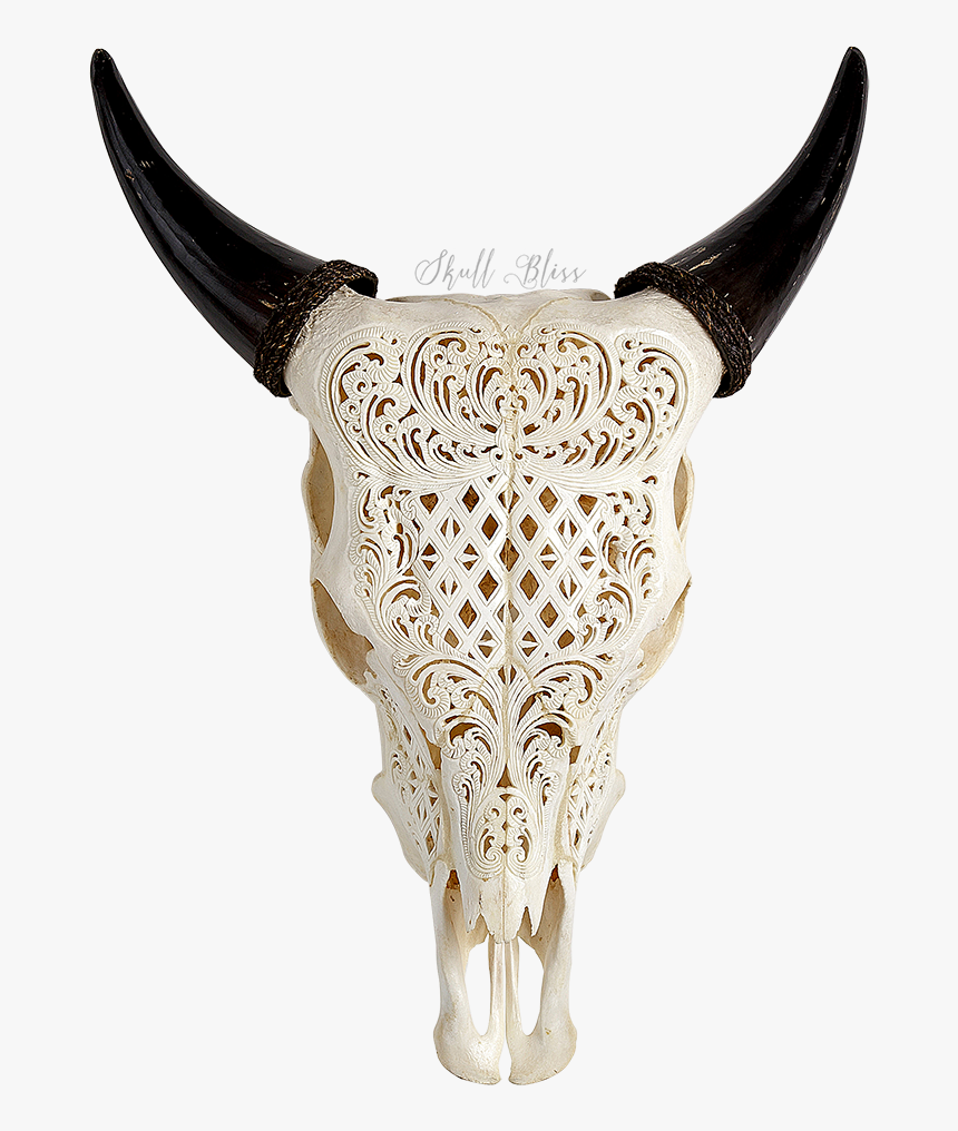 Texas Longhorn Skull Aurochs Wall Decal - Cow Skull, HD Png Download, Free Download