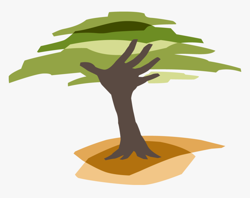 Mangrove Tree Clipart Banner Download Eden Reforestation - Eden Reforestation Projects, HD Png Download, Free Download