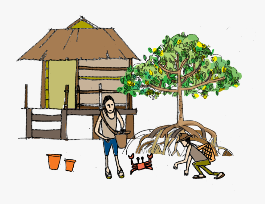 Swamp Clipart Mangrove Swamp - Illustration, HD Png Download, Free Download